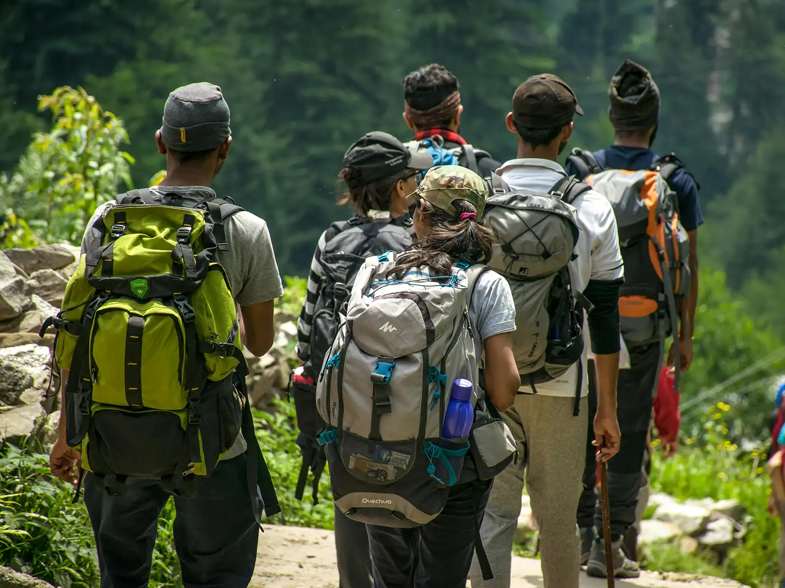 Wanderer mit Rucksäcken auf einer Waldwanderung