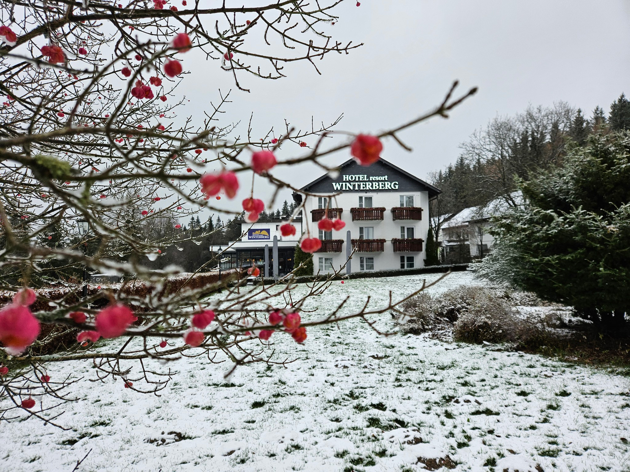 Verschneiter Hotelgarten mit rotem Winterschmuck