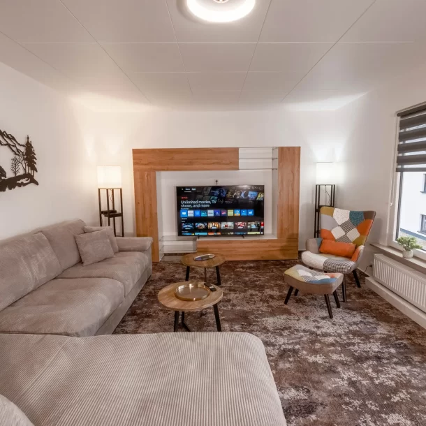 Living area with sofas, coffee tables and television