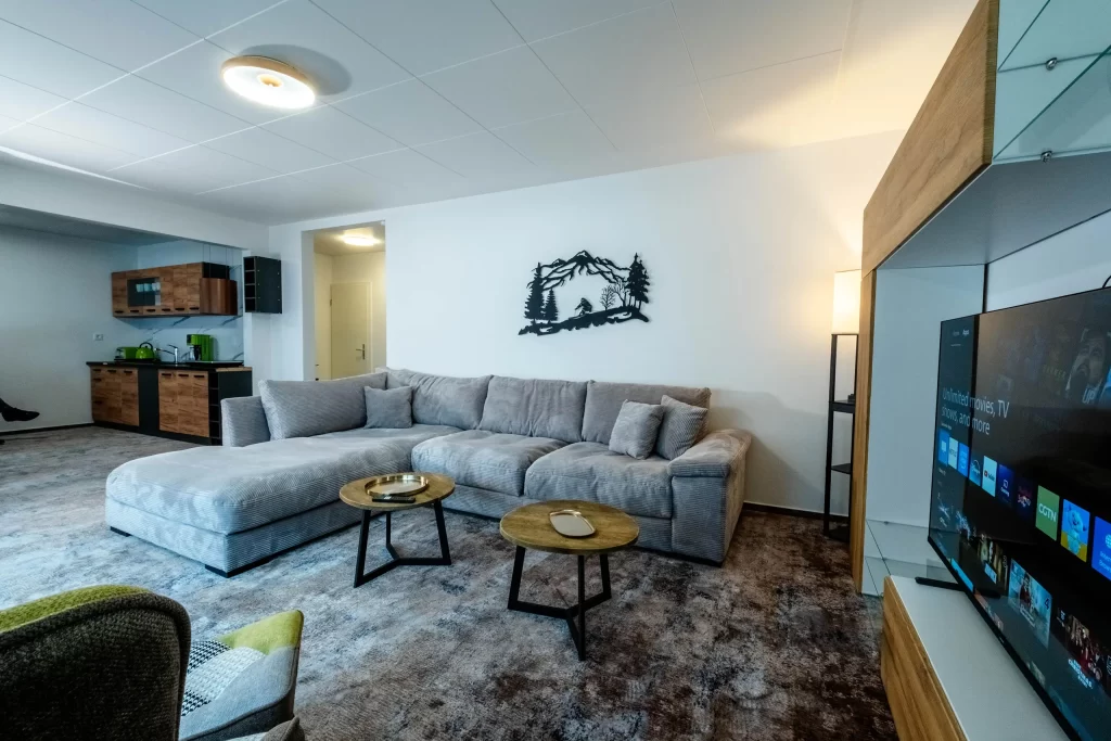 Living area with sofas, coffee tables and television