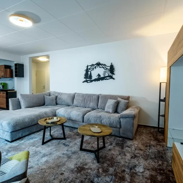 Living area with sofas, coffee tables and television