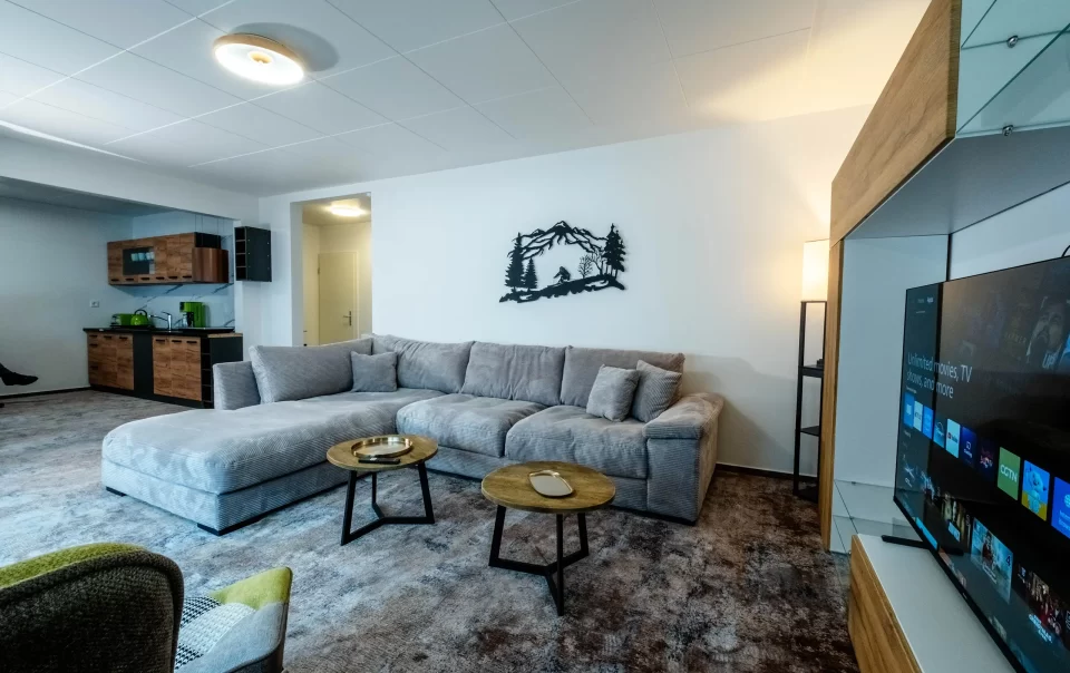 Woonruimte met banken, salontafels en televisie