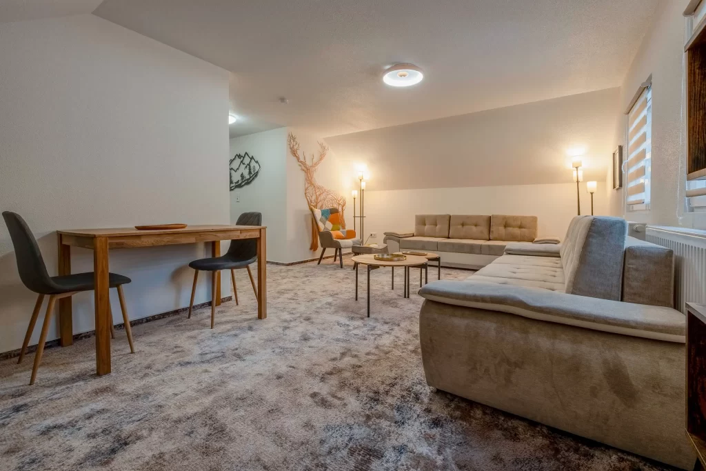 Living area with sofas, coffee tables and television