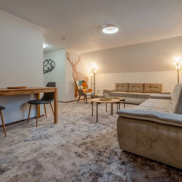 Living area with sofas, coffee tables and television