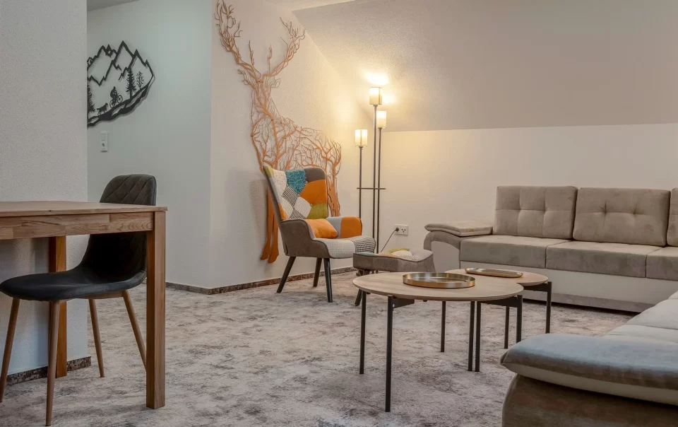 Wohnbereich mit Sofas, Couchtischen und Fernseher