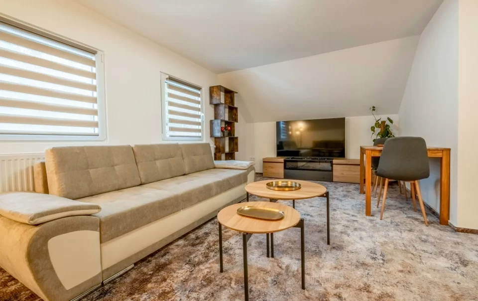 Wohnbereich mit Sofas, Couchtischen und Fernseher