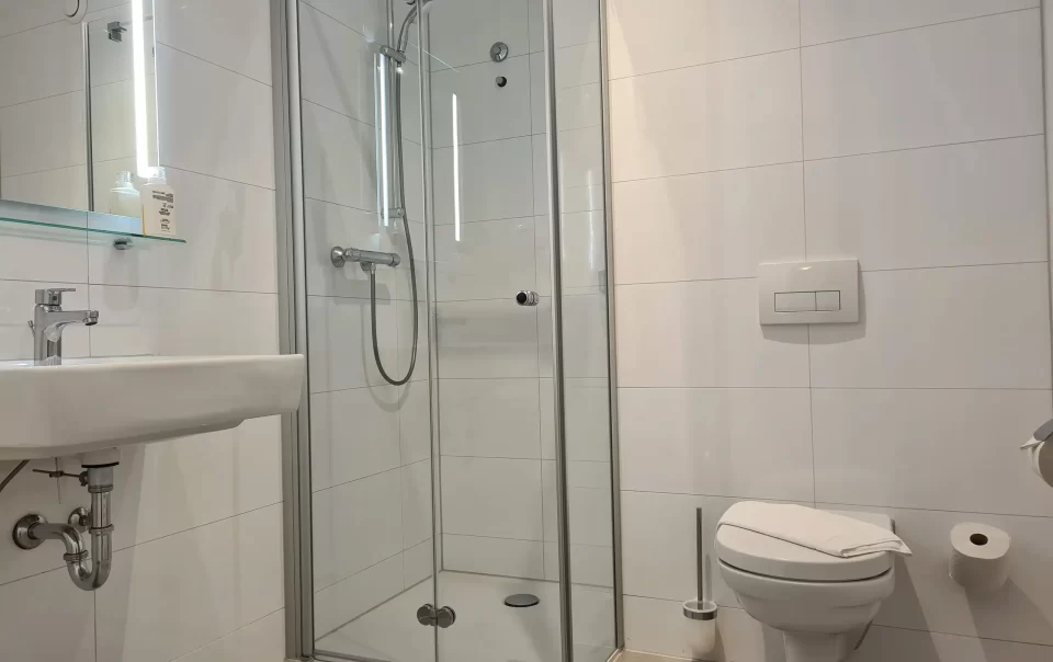 Badkamer met glazen douchecabine en toilet