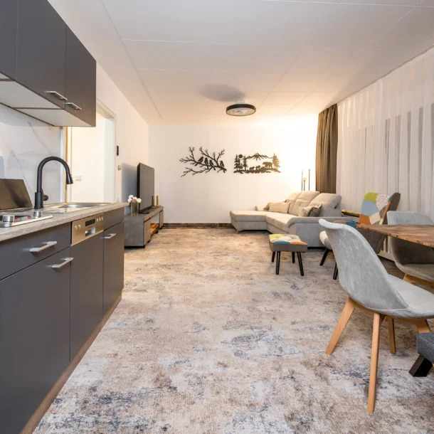 Living area with sofa, armchairs and dining table