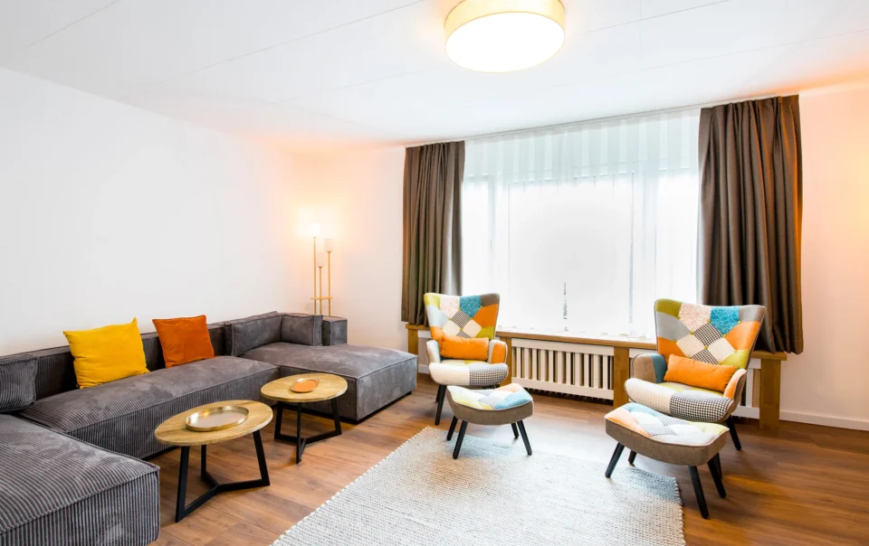 Living area with sofas, armchairs and a large television