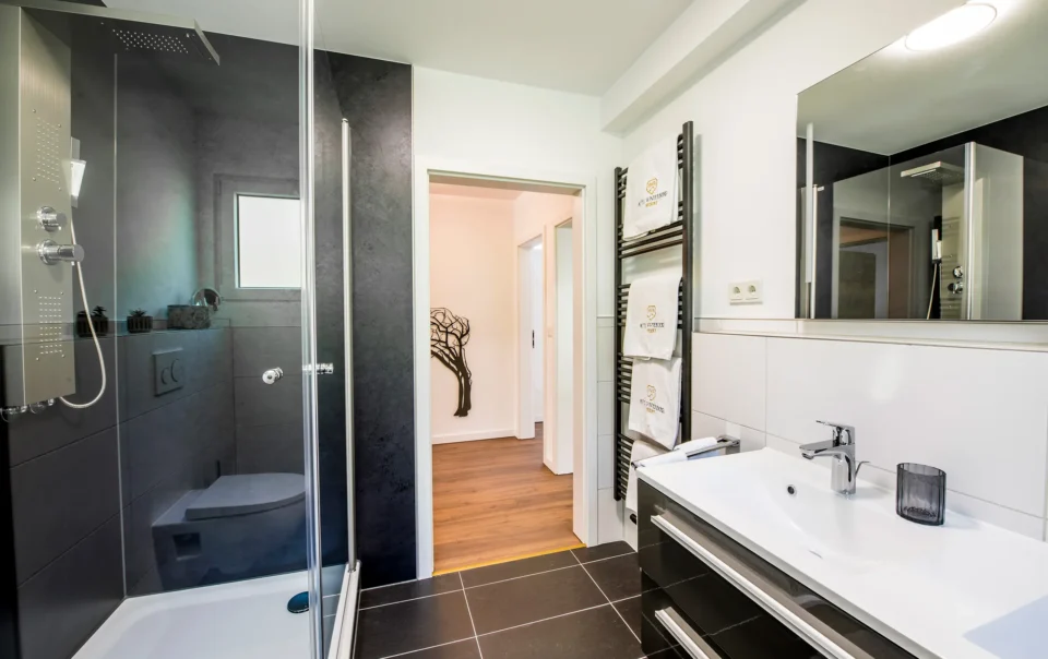 Bathroom with dark floor tiles and glass shower enclosure