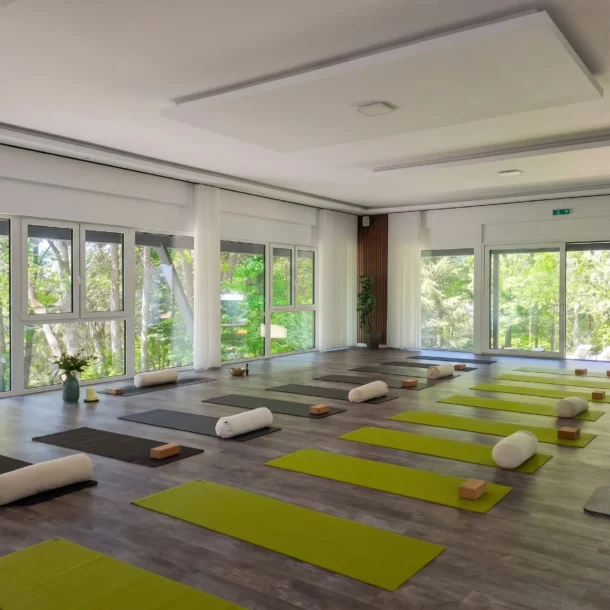 Bright yoga room with mats and bolsters beside large windows